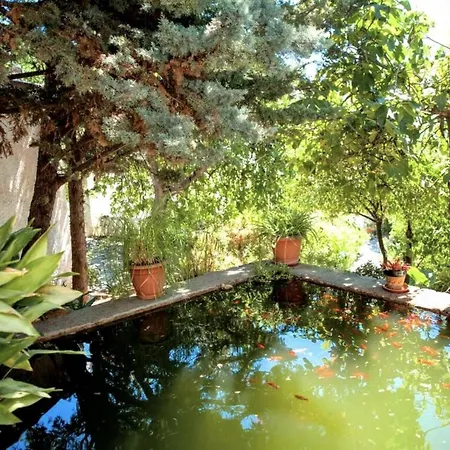 Casa Jazmin Guest house Orgiva