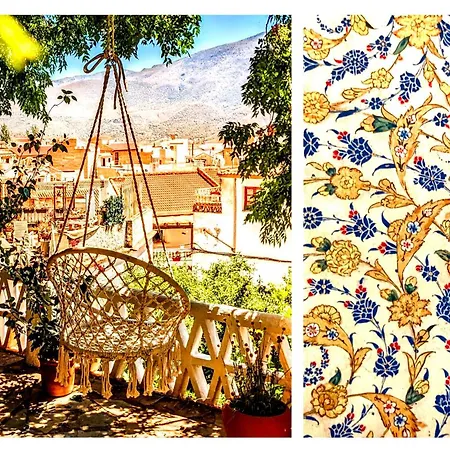Guest house Casa Jazmin 3*